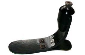 Carbon Fibre Dynamic Foot