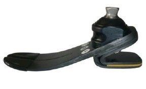 Carbon Fibre Dynamic Foot