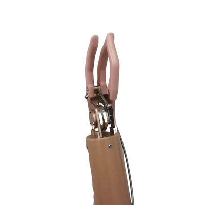 calidad  350mm Upper Limb Prosthetic , Cable Control Mechnical Arm fábrica